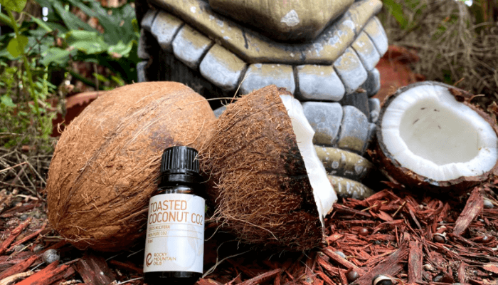 Toasted Coconut CO2 in front of tiki statue with coconuts