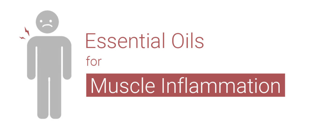 best essential oils for inflammation acute inflammation chronic inflammation muscle inflammation 