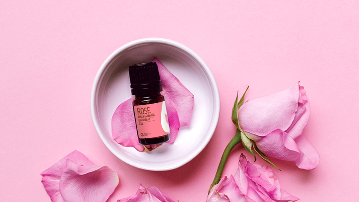 National Rose Month 4 Benefits Of Rose Essential Oil Blog