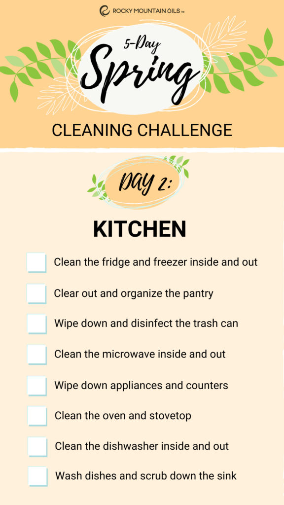 Spring Cleaning Challenge Kitchen