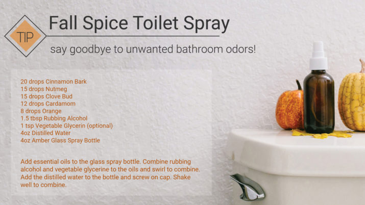 thanksgiving fall spice essential oil blend toilet spray
