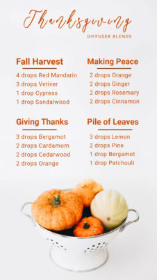 thanksgiving diffuser blends essential oils fall blends fall harvest