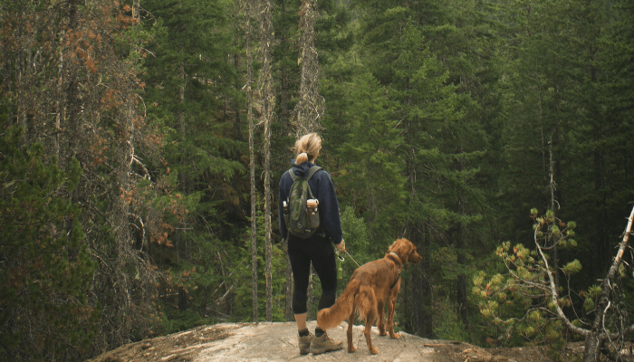Women looking out at the forest with her dog