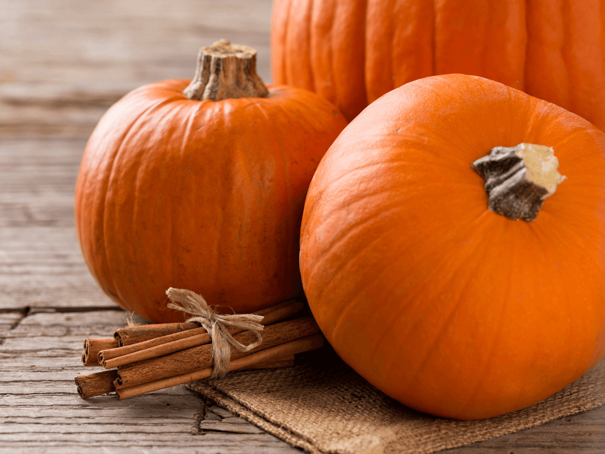 how to preserve a pumpkin with essential oils