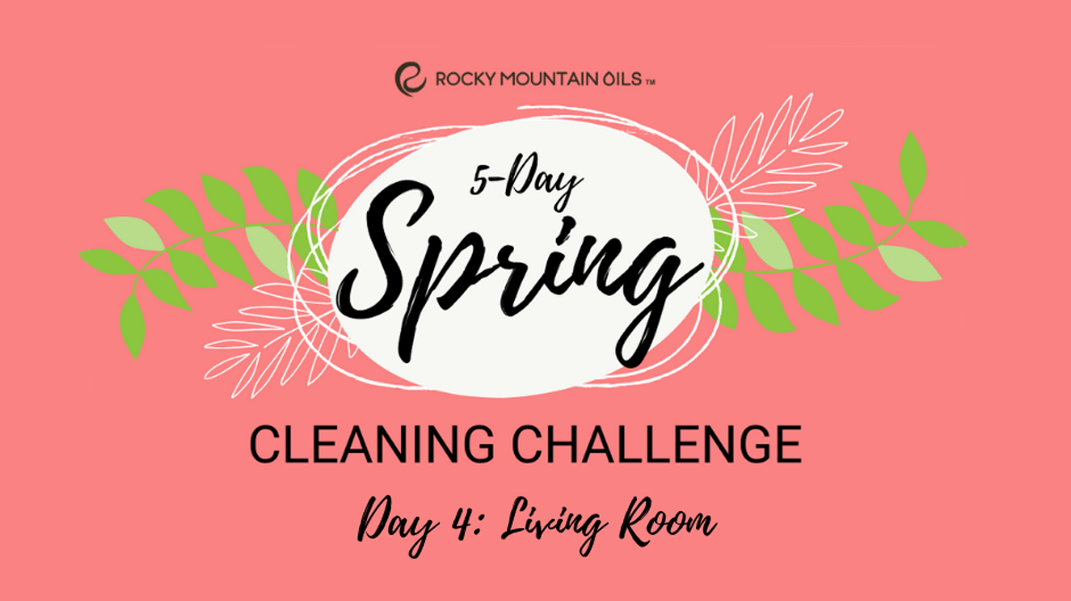 Spring Cleaning Challenge 4 Living Room
