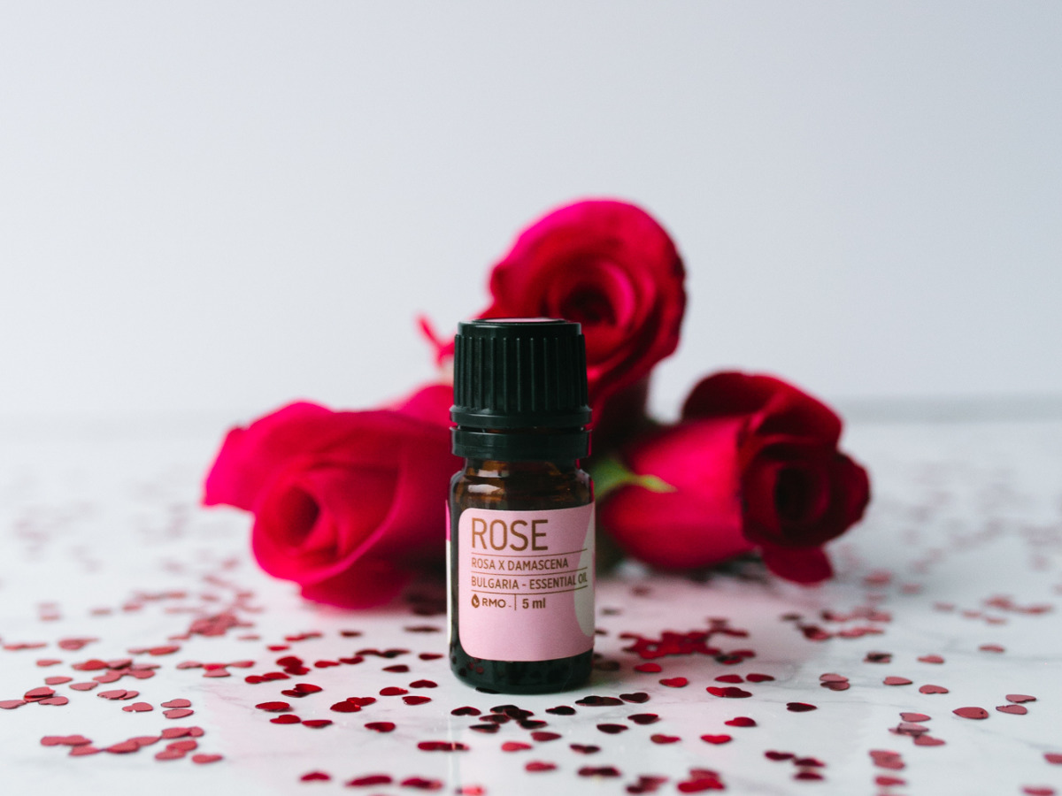 rose essential oil uses valentine's day blend of rose